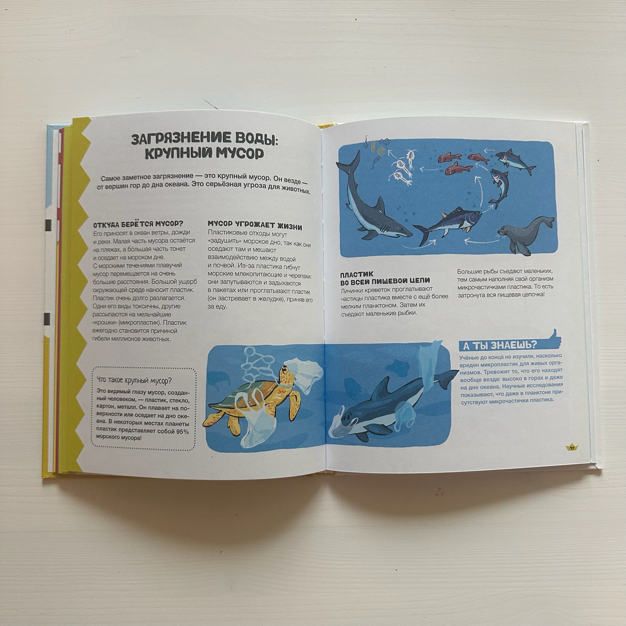 Let’s Save Water Together! A Young Ecologist’s Handbook — image 2