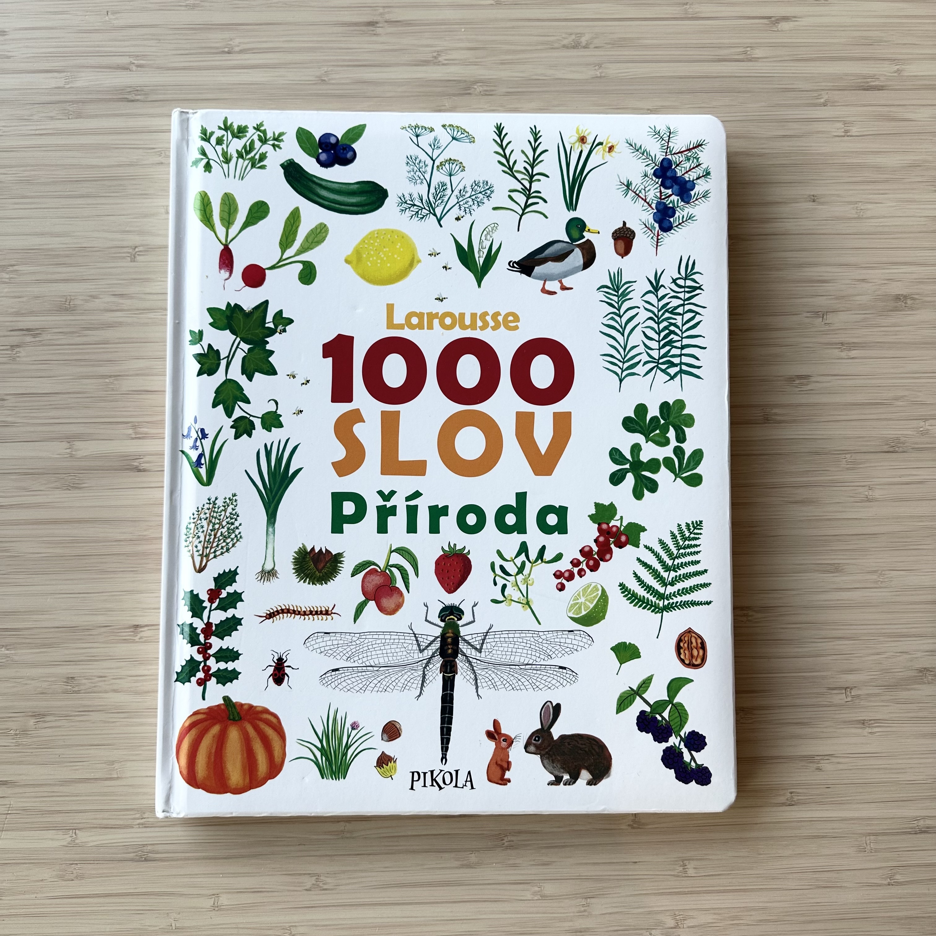 1000 Words – Nature