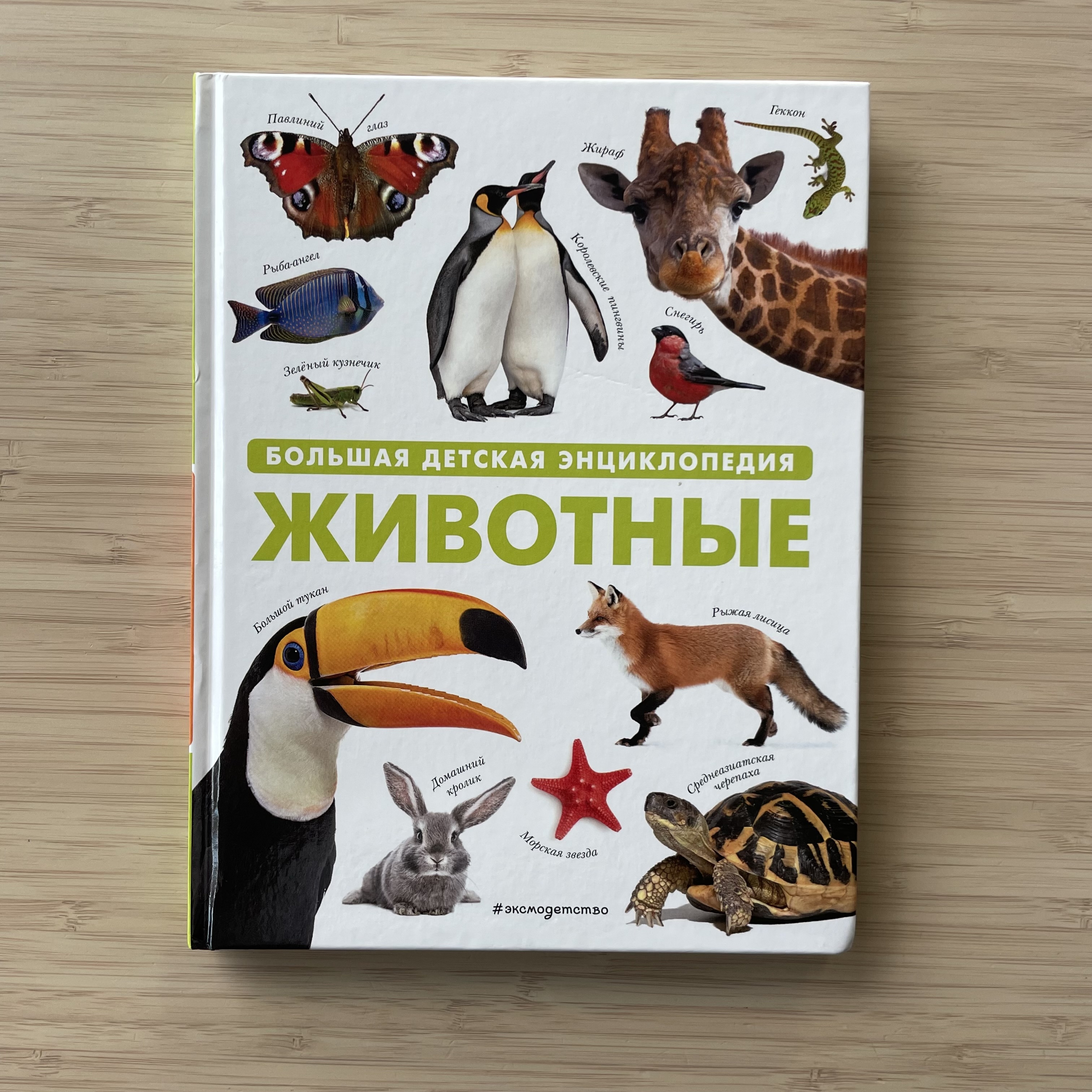Animals. Big Children's Encyclopedia