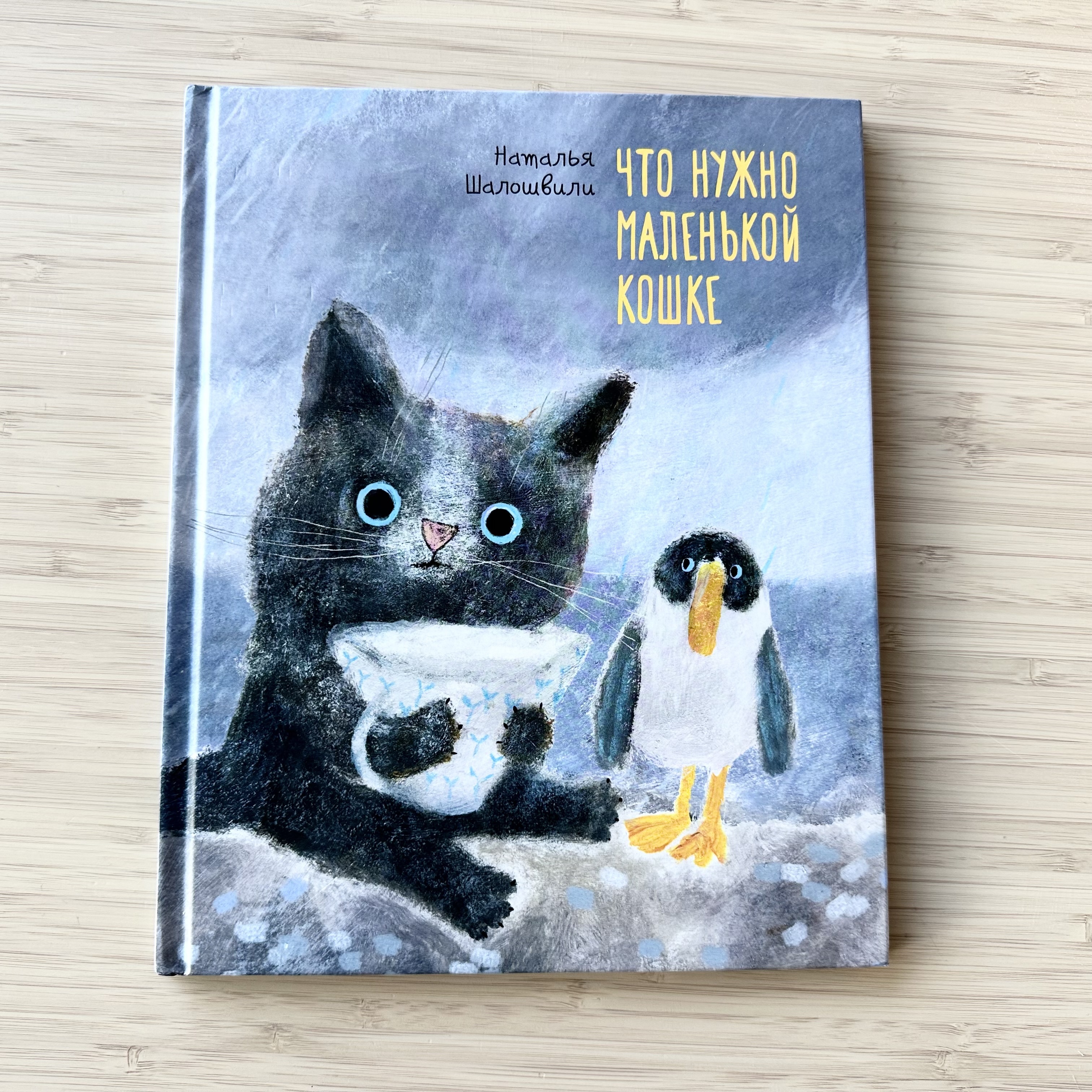 What a Little Cat Needs
