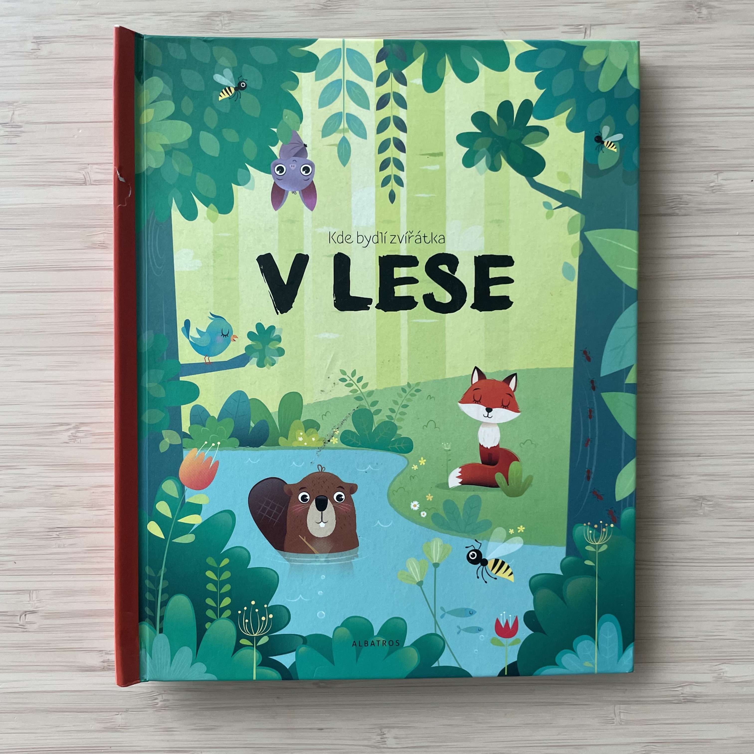 Where Do Animals Live: In the Forest
