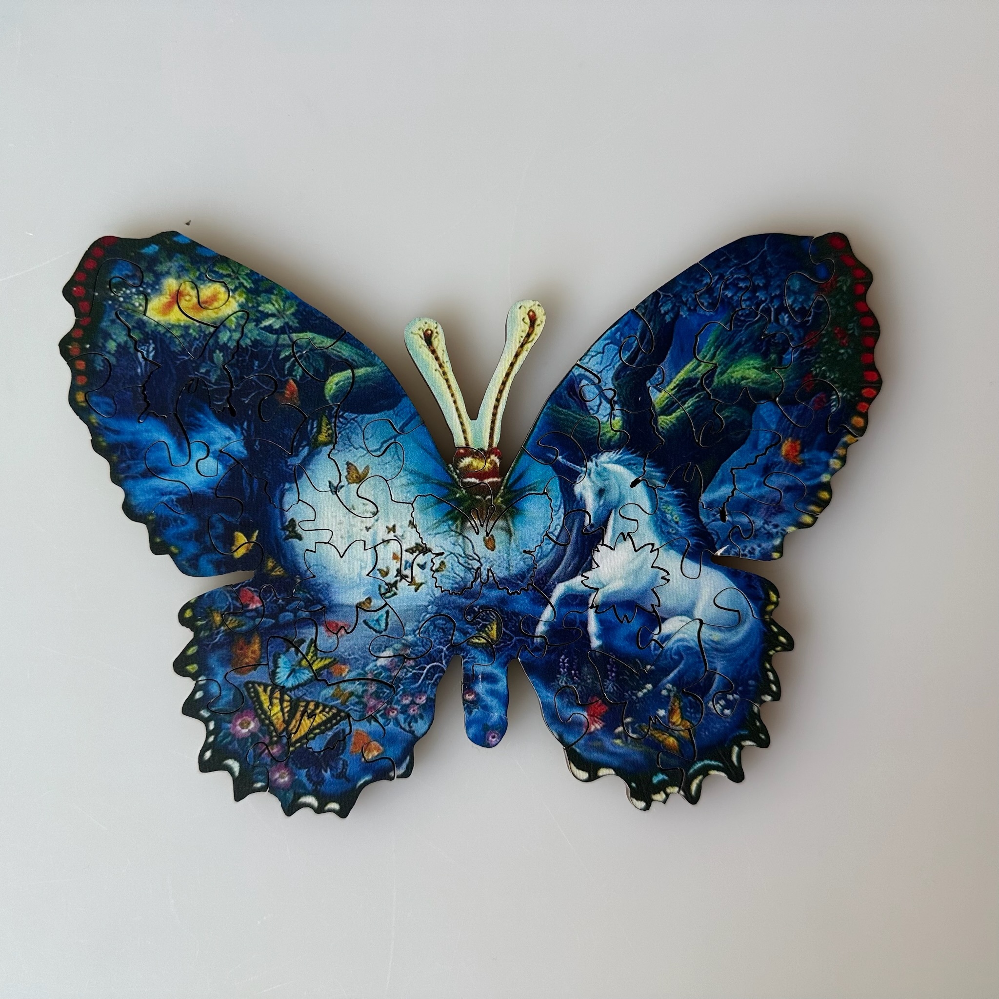 Butterfly Puzzle
