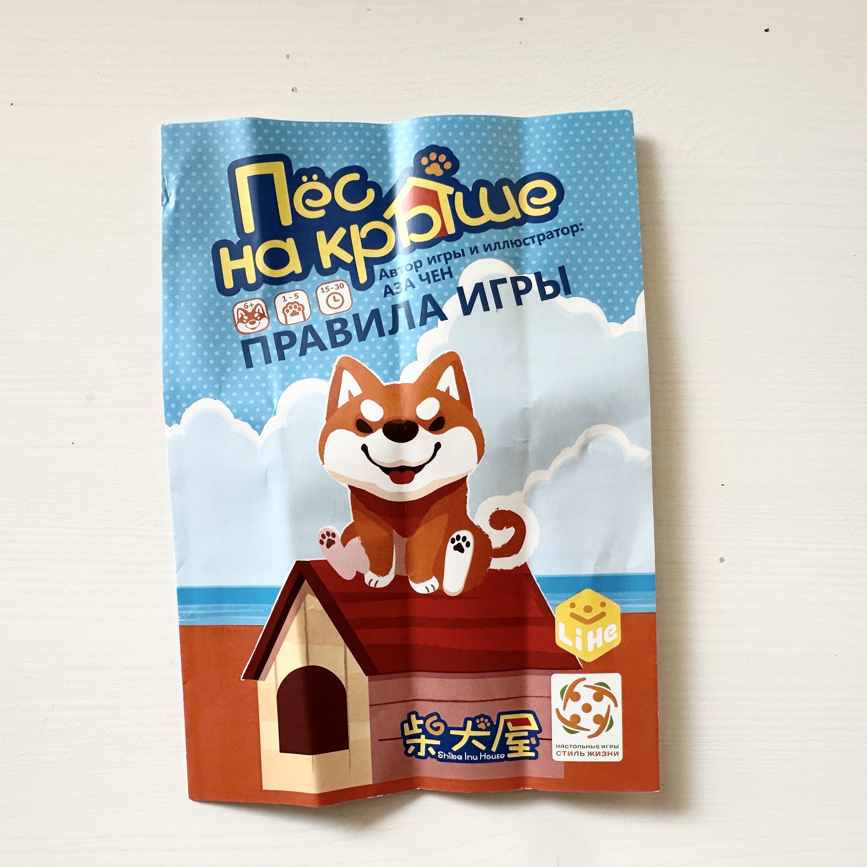 Dog on the Roof