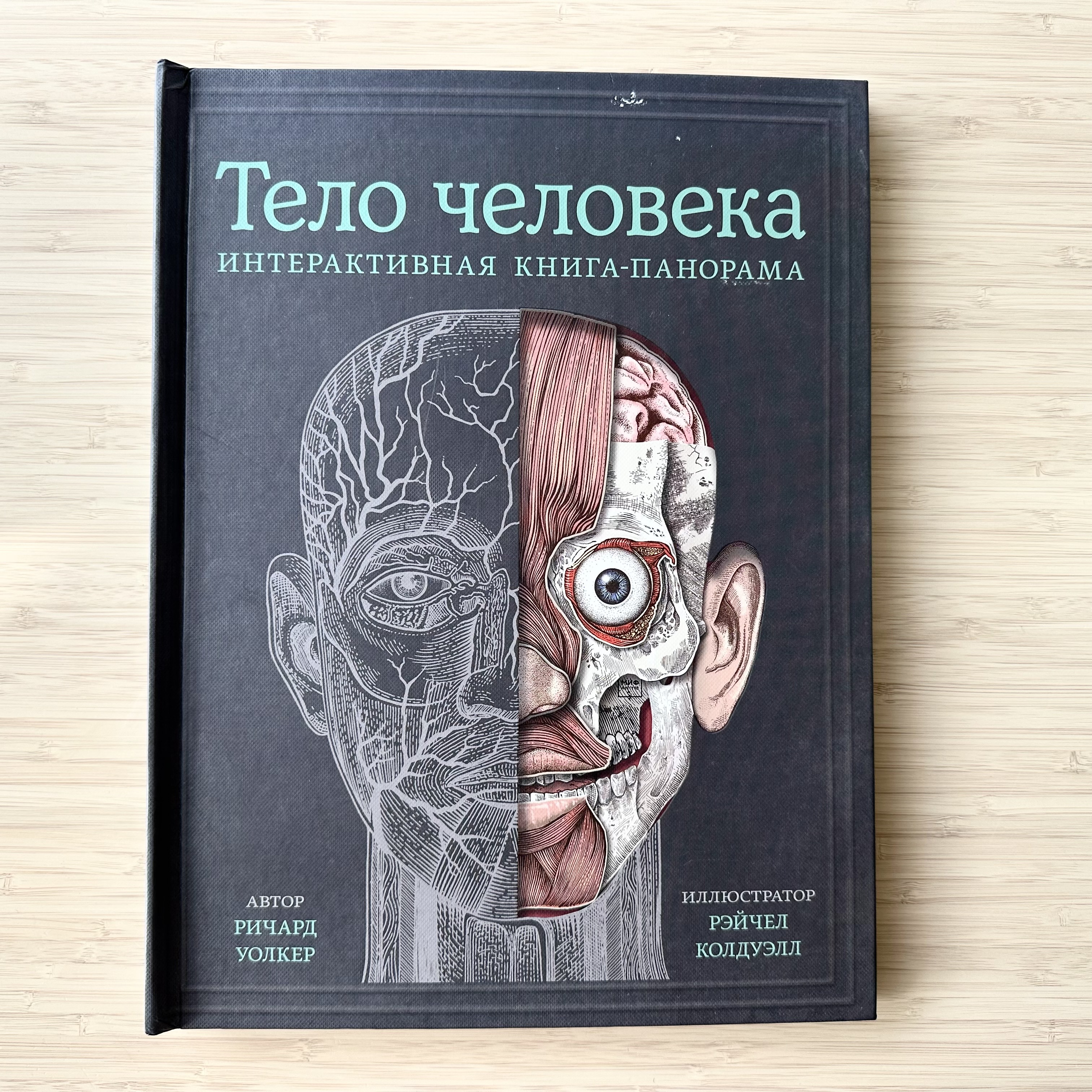 The Human Body. An Interactive Pop-Up Book