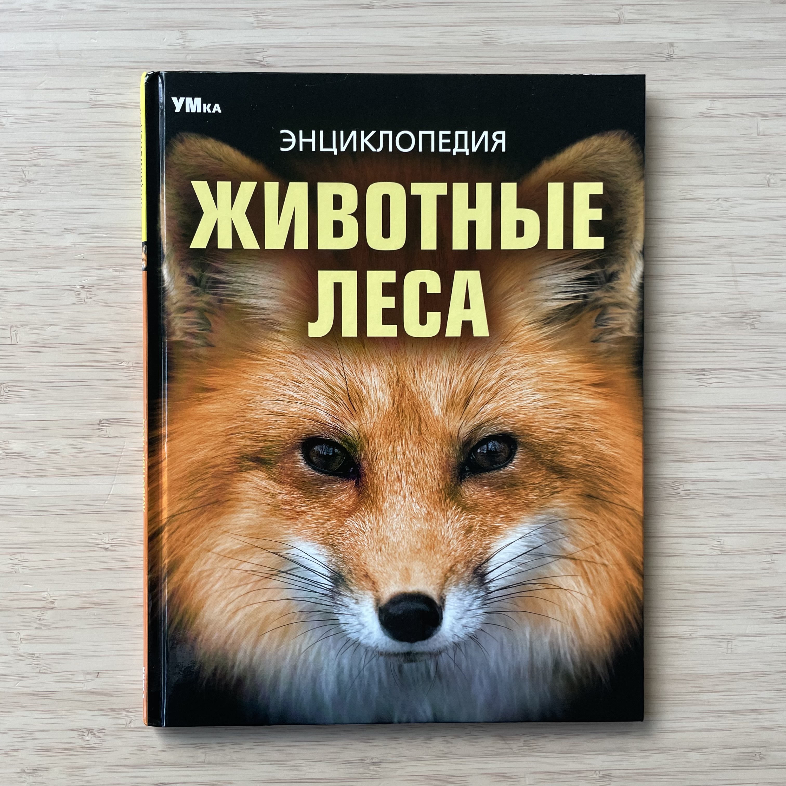 Forest Animals. Encyclopedia